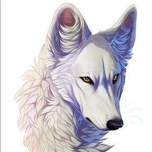 Meet your Posher, Andres